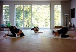 bild3