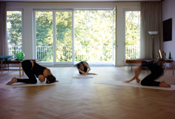 bild4