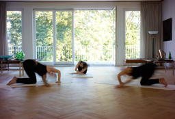 bild7